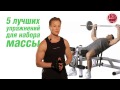 программа базовых тренировок на массу со штангой дома программа базовых тренировок на массу со штангой дома