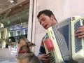 Dog Singer