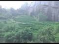 Bamboo rafting @ Nine-twist Stream of Wuyi m…