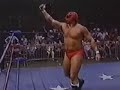 Jerry Stubbs / Mr. Olympia - Pro Wrestling Masked Man
