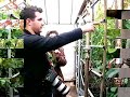 Videos