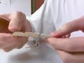 pistola de palillos