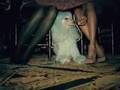 Kelis ft Too Short - Bossy