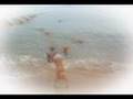 Golden Retrievers - Fun at the Beach