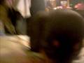 videos de Little Brother/Fido's first bark!