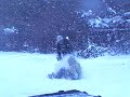 Towboarding Towboarding