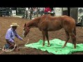 usa tour prescott highlights

see the surprises and thrills from last weekend in prescott, arizona with pat, linda, and the prescott savvy team!

the new usa tour format includes demo horses on saturday, then special new and different surprises on 