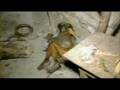 Mumia Abu-Jamal -- Proxy Wars Again?