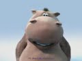Hippo[1]