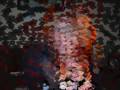 videos de im not a girl - Elisabet akapella