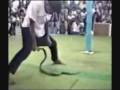 a funny funny funny funny funny funny funny animal videos !!
