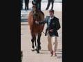 Fine Merveille