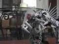 Clayman v.s Spinax