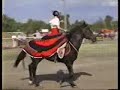 pokazy konne us cavalry Damian D?bski 1