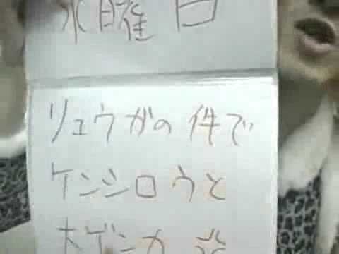 秋葉原の母による北斗の拳・ユリアのラスト一週間占い