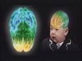 The Secret of Brain Wave Vibration