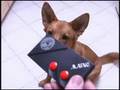 CGRHD reviews ATARI 7800 GAMEPAD controller