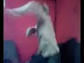 Feetjob Part 3