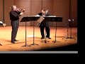 Pugh/Taylor Project - Duo Concertante
