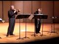 Pugh/Taylor Project - Duo Concertante