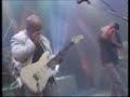 LAs pelotas - Corderos de la noche