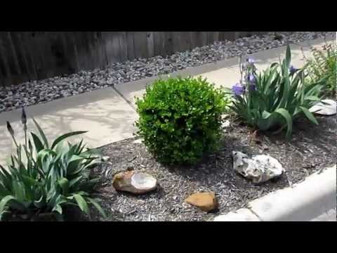 how to xeriscape on a budget