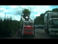 Tree Transportations by Chris Orser Landscaping, Inc.