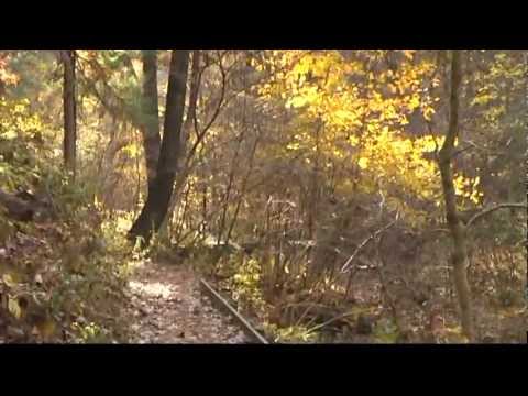 Autumn at Starved Rock State Park - Illinois