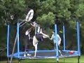 This guy gets his foot caught in the rim!!!!