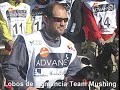 lobos de numancia team mushing equipo nº 16 pirena 2008