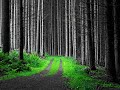 Progression - Indeep Sounds