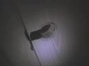 Toilet Door