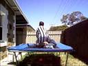 trampoline wrestling federation 1234567890