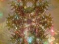 Dance of The Sugar Plum Fairy
