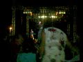 cugini campagna live concerto vivo nick alvaro luca silvano conchiglia bianca