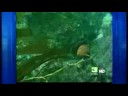 Experts Discuss Current Health Of Oceans Experts Discuss Current Health Of Oceans