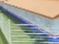 CT do LE�O - razaotricolor.com.br