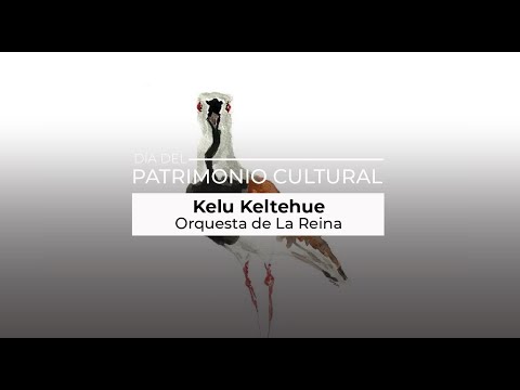 Orquesta la Reina:Kelü Keltehue
