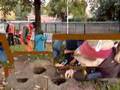 Bloembollen planten
