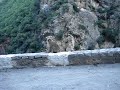 les singes de Kharata