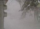 Freak Blizzard