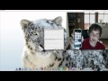 jailbreak iPhone 3g with reds0w 5-5