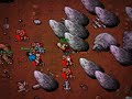 Deep Fibula Quest by old owner Ivex - Pacera Elite Knight