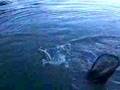 Funny Fishing Trip