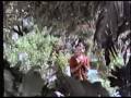 khushi no divasha che