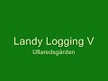 Landy Logging VII