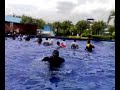 160208 desa waterpark
