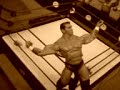 WWE Wrestlemaina 24 Randy Orton V John Cena Figures WWE Wrestlemaina 24 Randy Orton V John Cena Figures