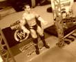 WWE Wrestlemaina 24 Randy Orton V John Cena Figures