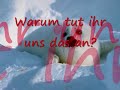 Helft uns! Robbenjagd u. was man dagegen tun kann